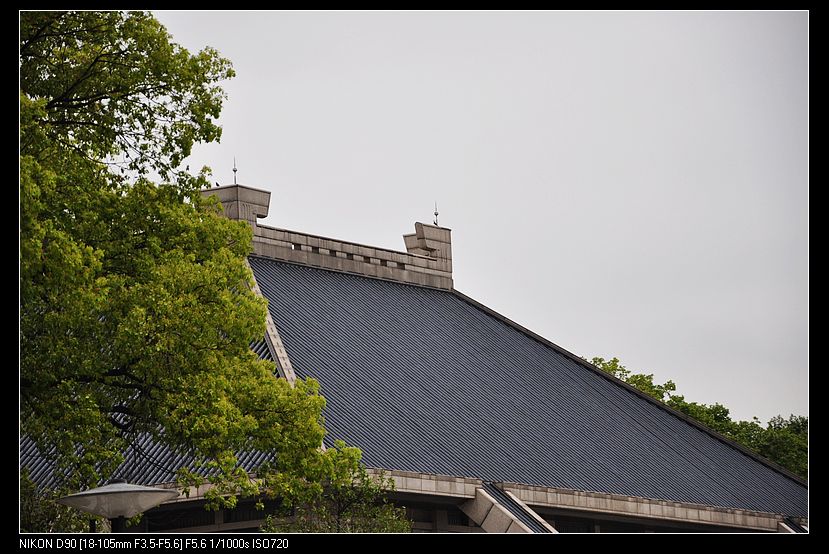 dsc_0061.jpg