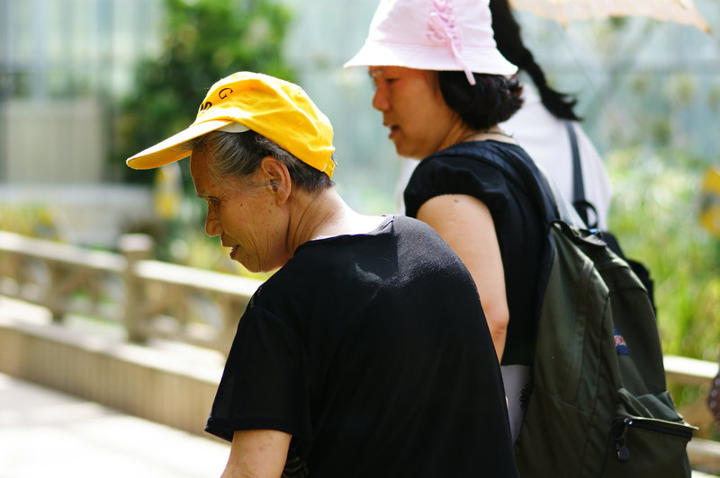 dsc05117.jpg