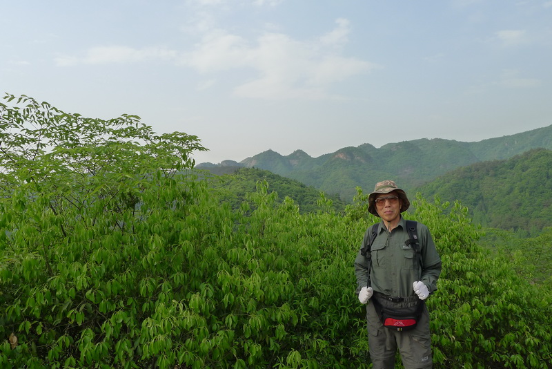 p1030110a.jpg