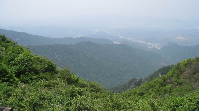 С Ƭ 029.jpg