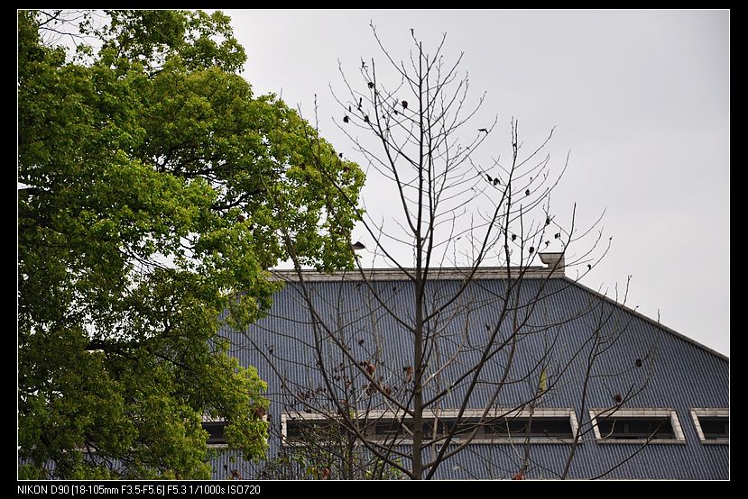 dsc_0064.jpg