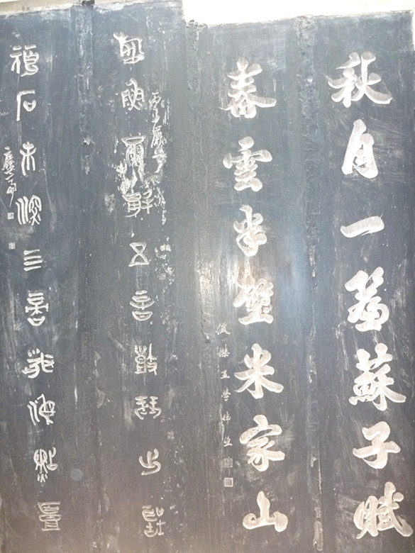p1060519_.jpg