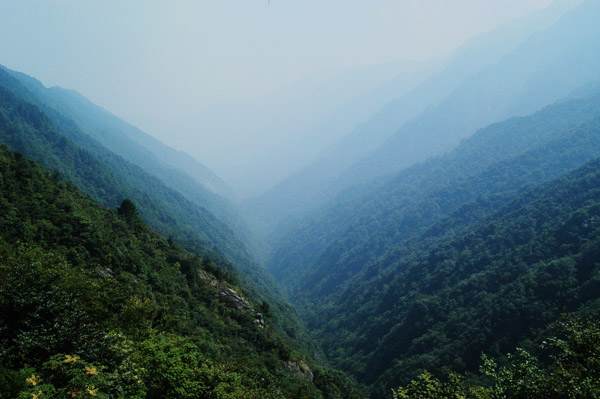 dsc_2403.jpg
