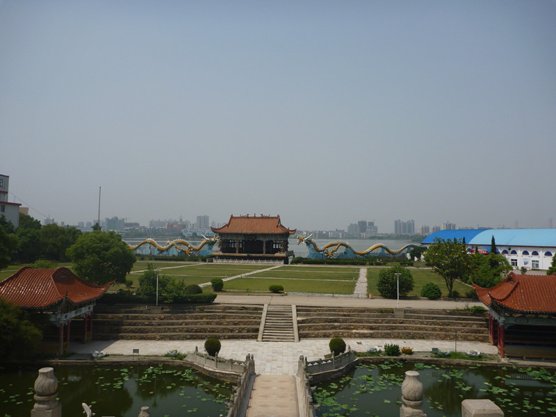 p1060578_.jpg