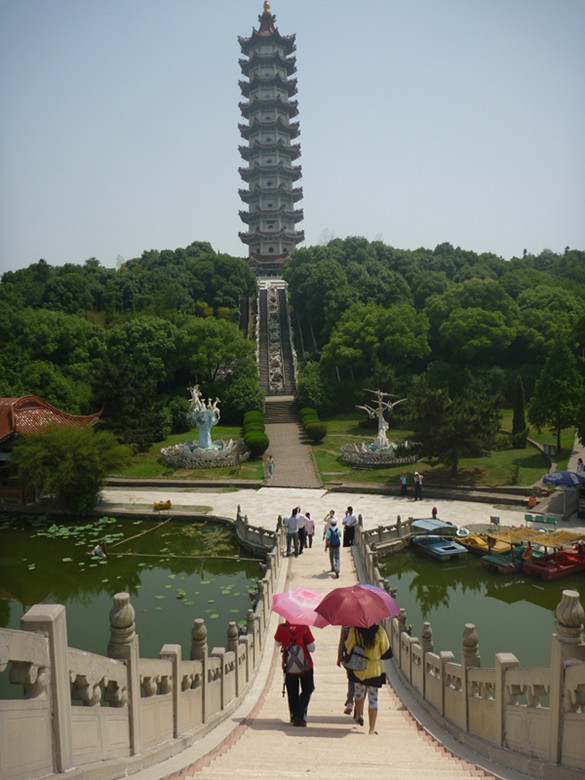 p1060577_.jpg