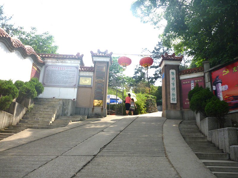 p1060579_.jpg