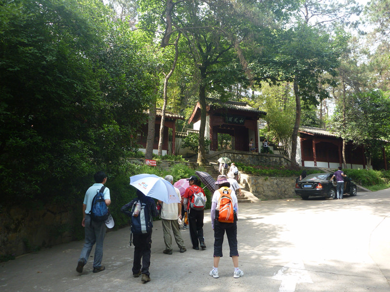 p1060583_.jpg