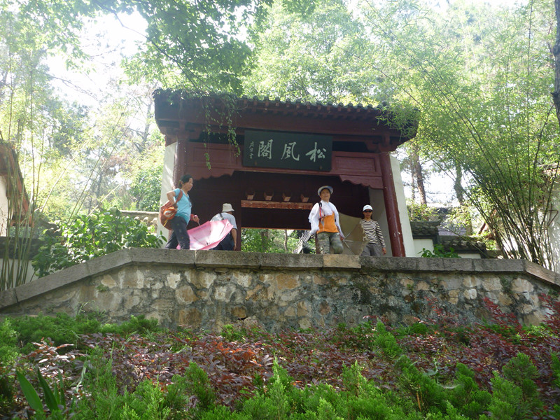 p1060584_.jpg