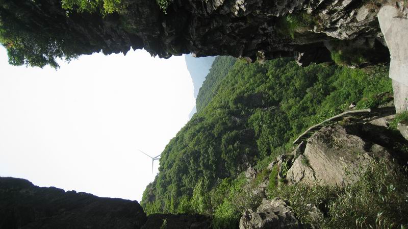 С Ƭ 082.jpg