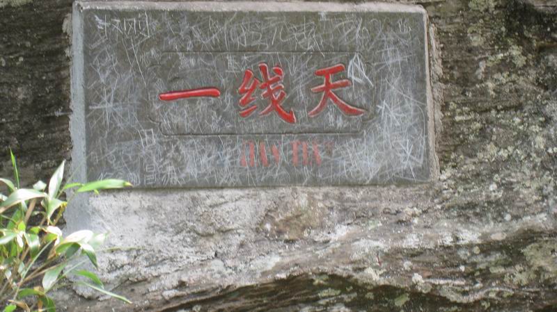 С Ƭ 083.jpg