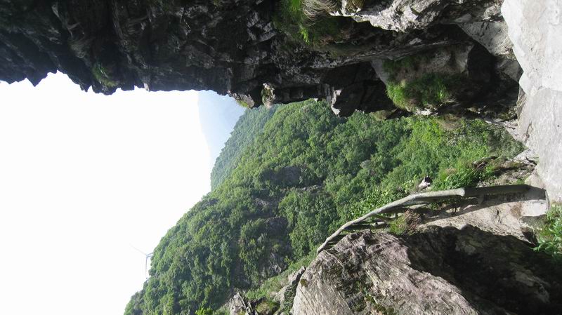С Ƭ 084.jpg
