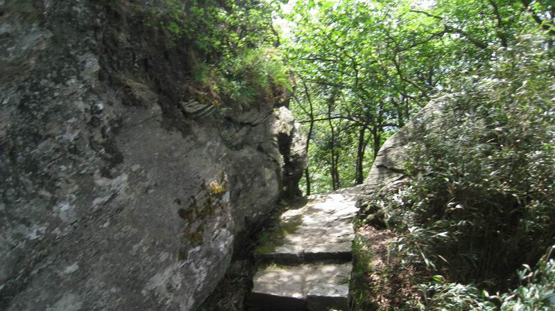 С Ƭ 109.jpg