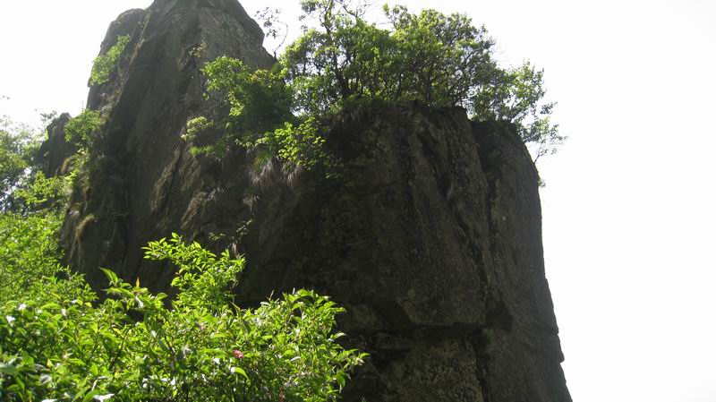 С Ƭ 129.jpg