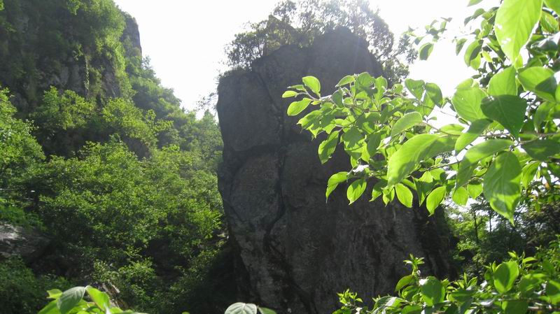 С Ƭ 135.jpg