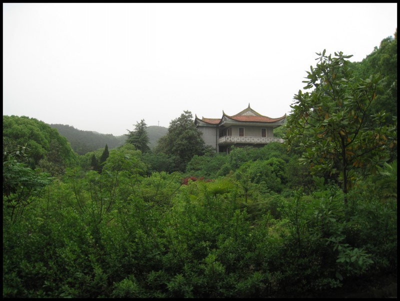 conew_img_6128.jpg