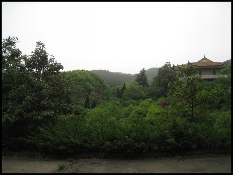 conew_img_6201.jpg