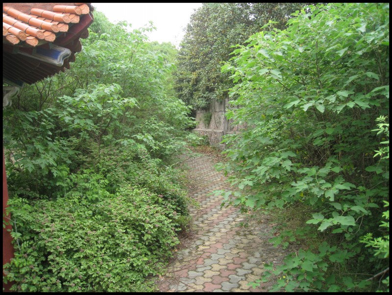 conew_img_6133.jpg