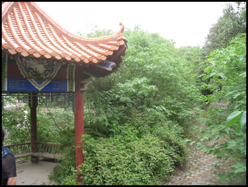 conew_img_6134.jpg