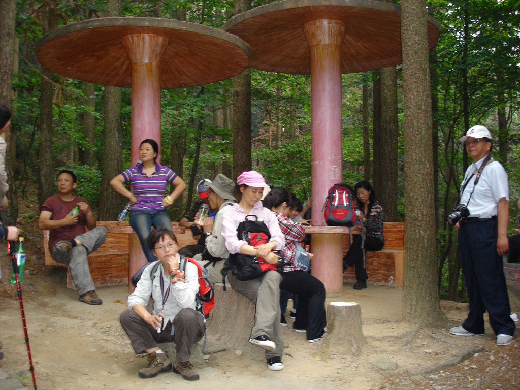 dsc00257.jpg