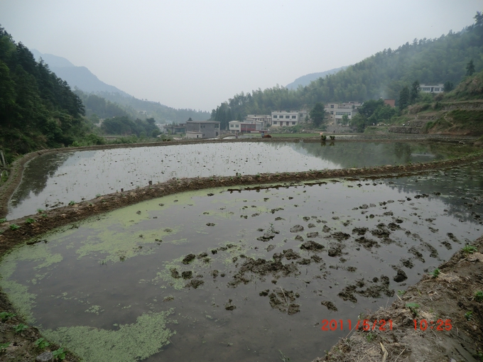 cimg2704.jpg