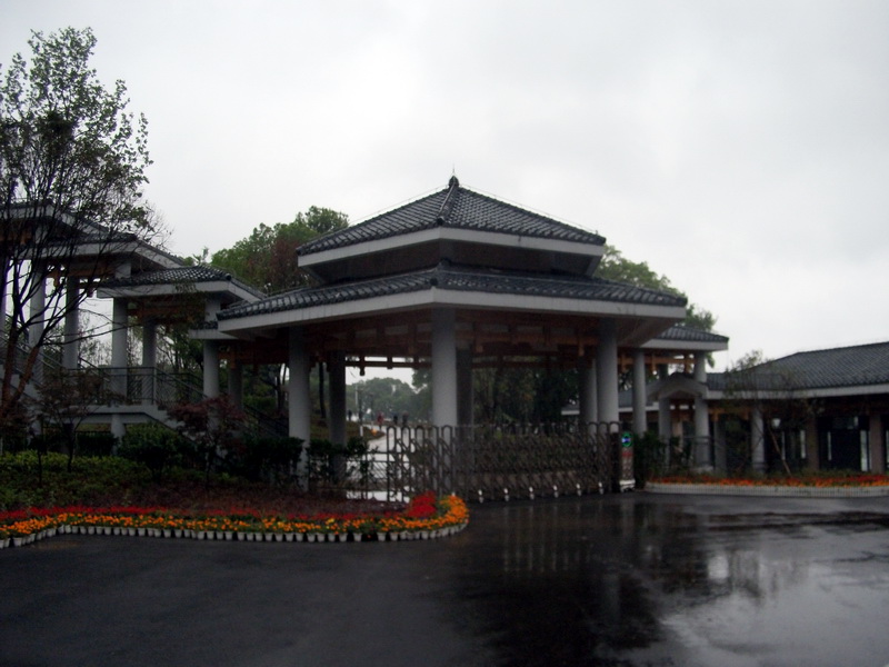 dscf0982.jpg