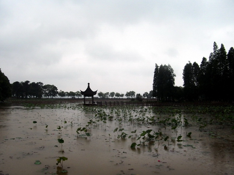 dscf0985.jpg