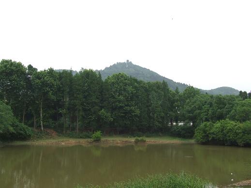 dscf3418.jpg