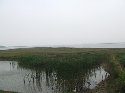 dscf3470.jpg