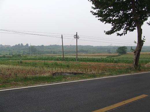 dscf3467.jpg