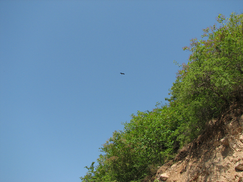 img_0065_.jpg