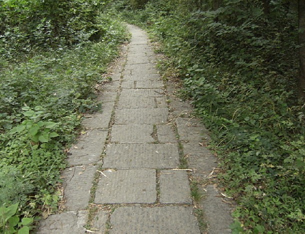 14.jpg