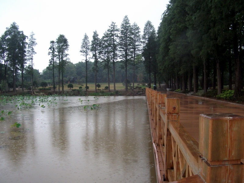 dscf0986.jpg