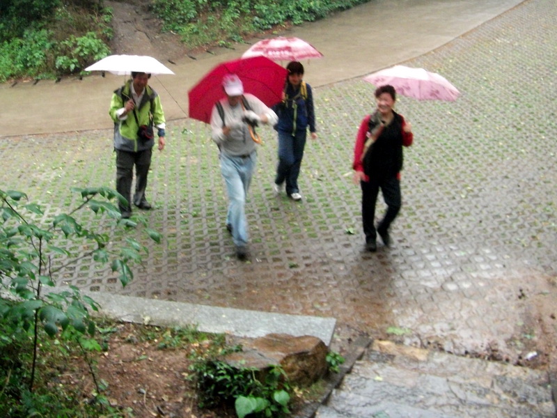 dscf1035.jpg