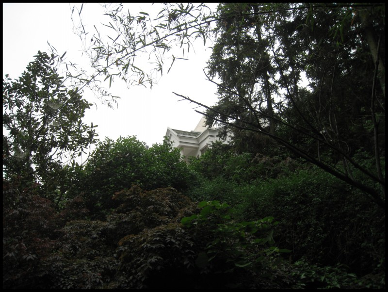 conew_img_6162.jpg