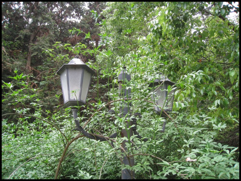 conew_img_6164.jpg