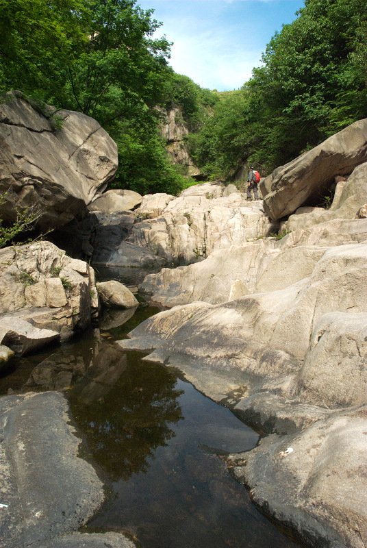 dsc_0202.jpg