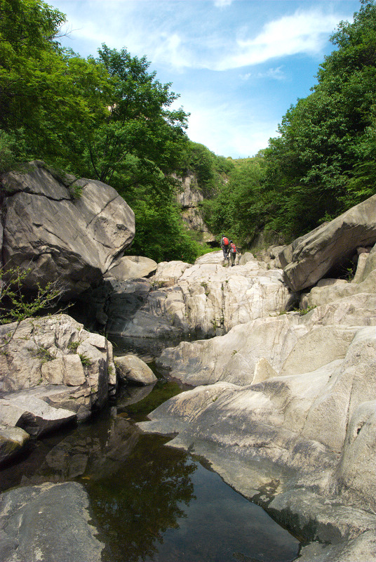 dsc_0203.jpg