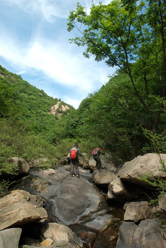 dsc_0196.jpg