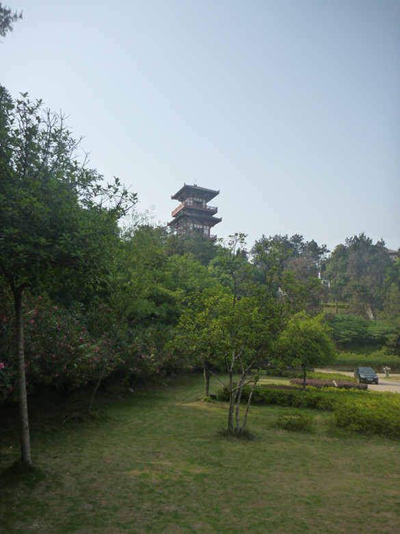 p1060625_.jpg
