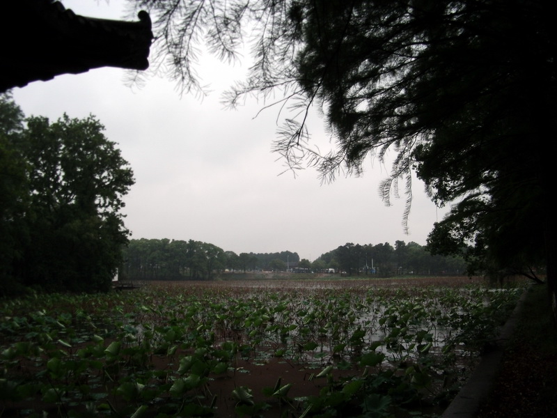 dscf1010.jpg