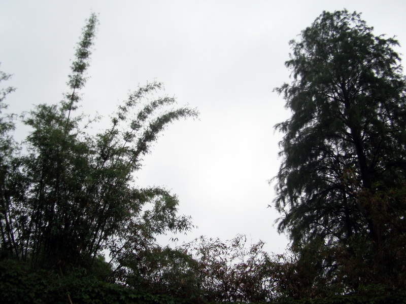 dscf1013.jpg