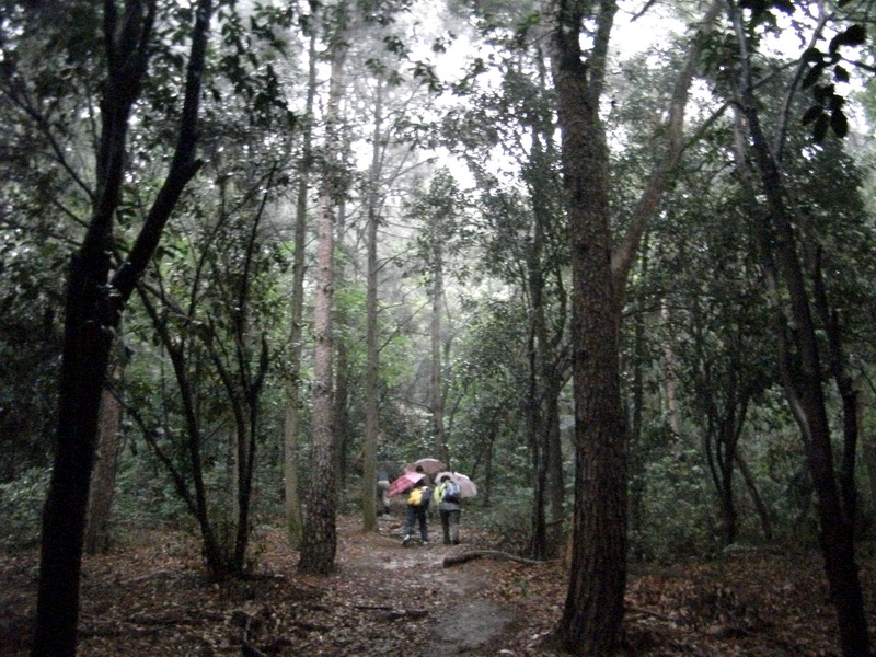 dscf1030.jpg