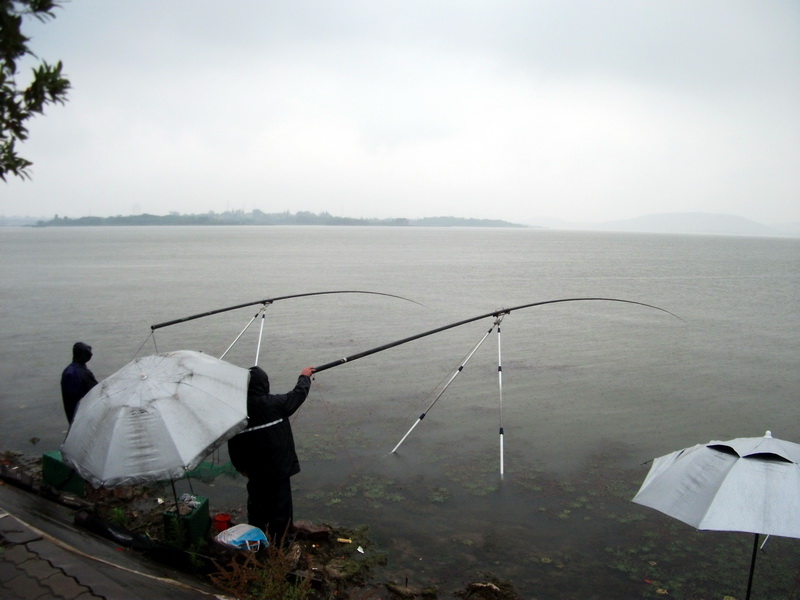 dscf1038.jpg