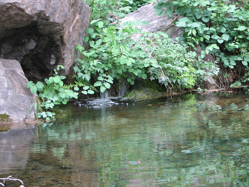img_0172_.jpg