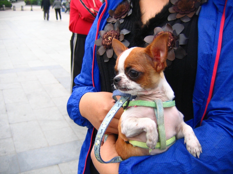 neo_img_img_0086.jpg