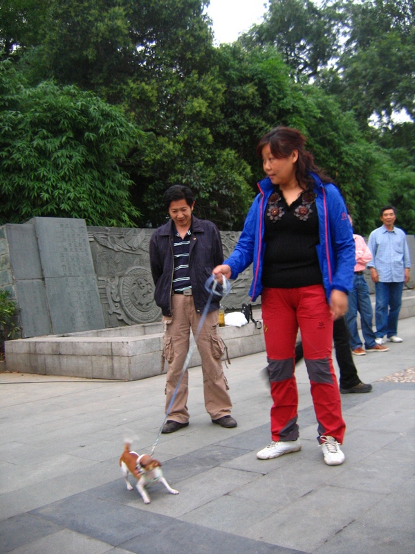 neo_img_img_0084.jpg