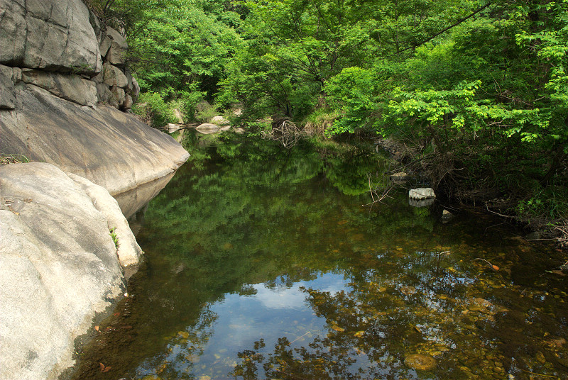 dsc_0206.jpg