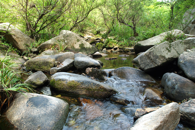 dsc_0187.jpg