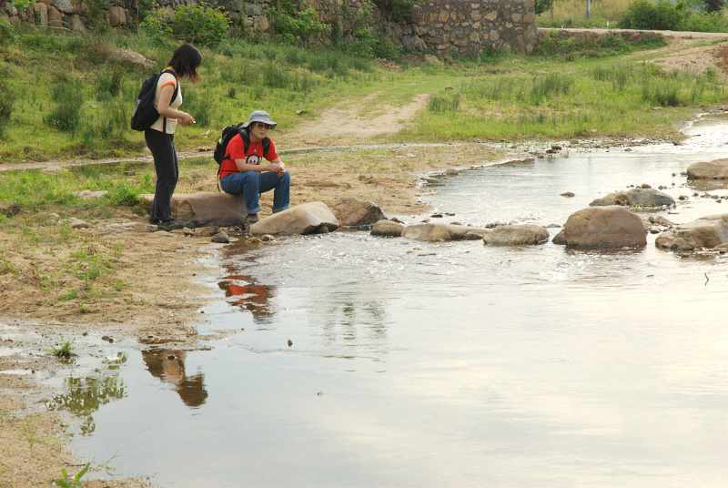dsc_0319.jpg