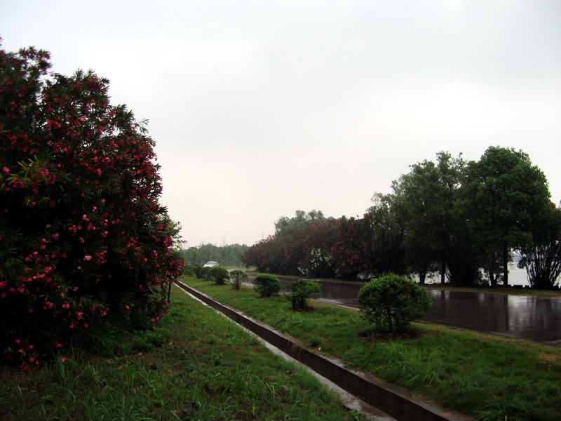 dscf1050.jpg